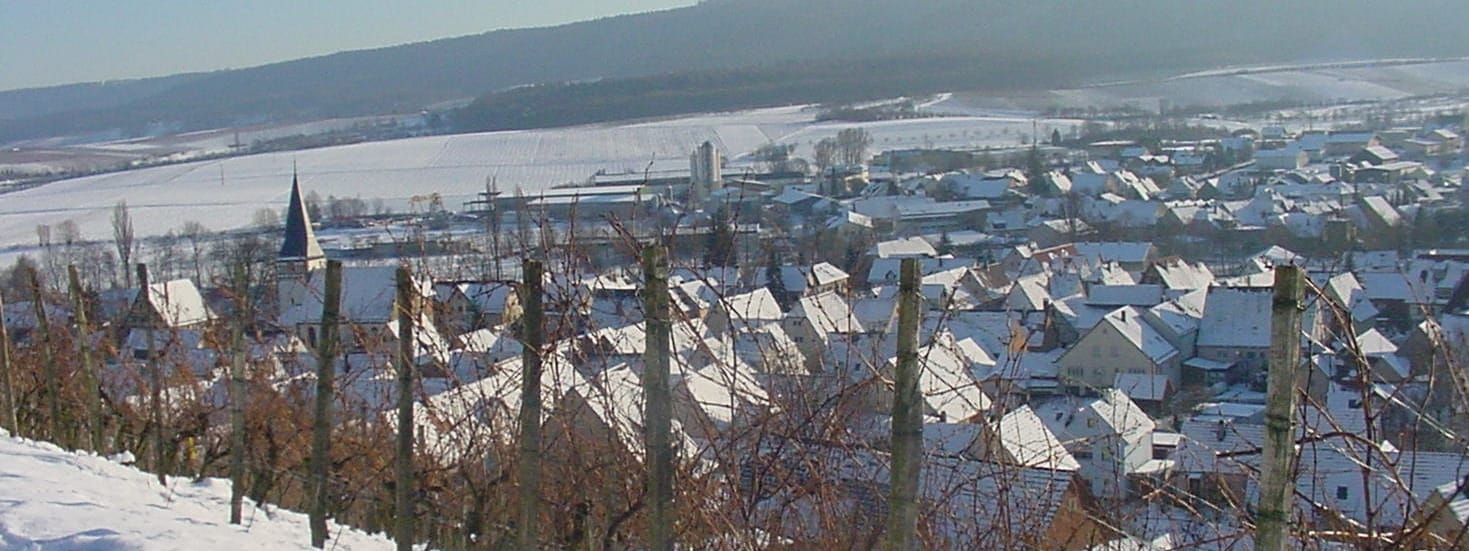 Gemeinde Pfaffenhofen Startseite