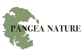 Logo des Vereins Pangea-nature e.V.